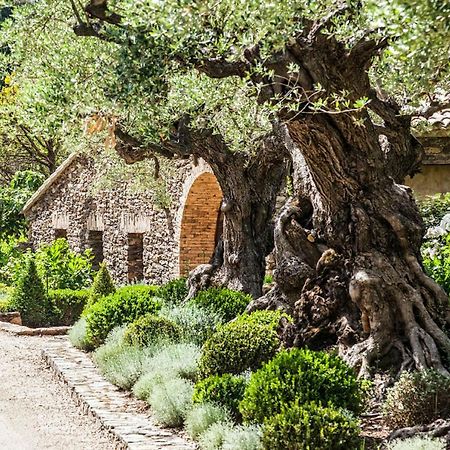 Domaine Les Mesanges Otel Gassin Dış mekan fotoğraf