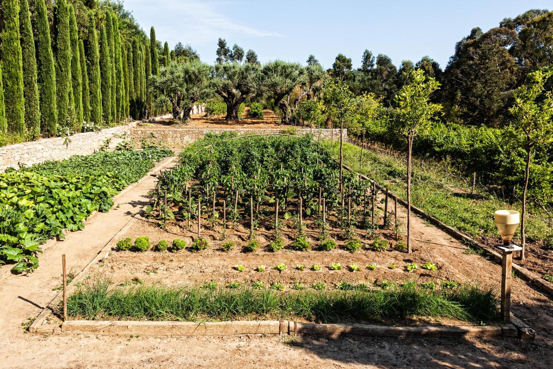 Domaine Les Mesanges Otel Gassin Dış mekan fotoğraf
