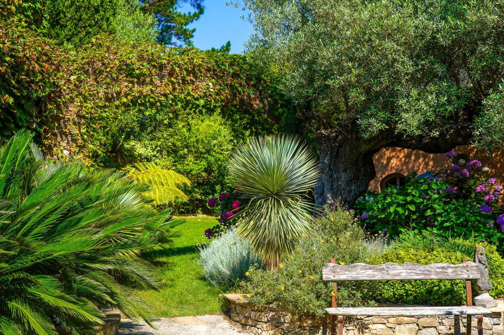 Domaine Les Mesanges Otel Gassin Dış mekan fotoğraf