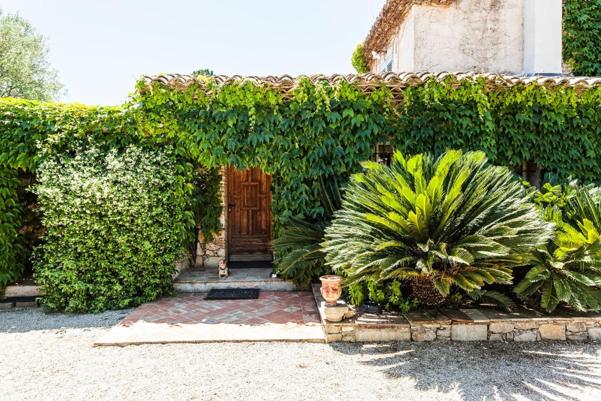 Domaine Les Mesanges Otel Gassin Dış mekan fotoğraf