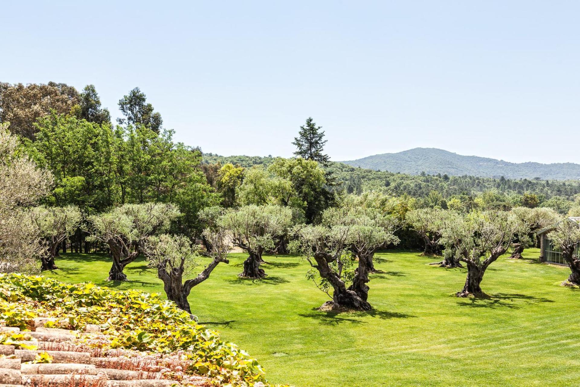 Domaine Les Mesanges Otel Gassin Dış mekan fotoğraf
