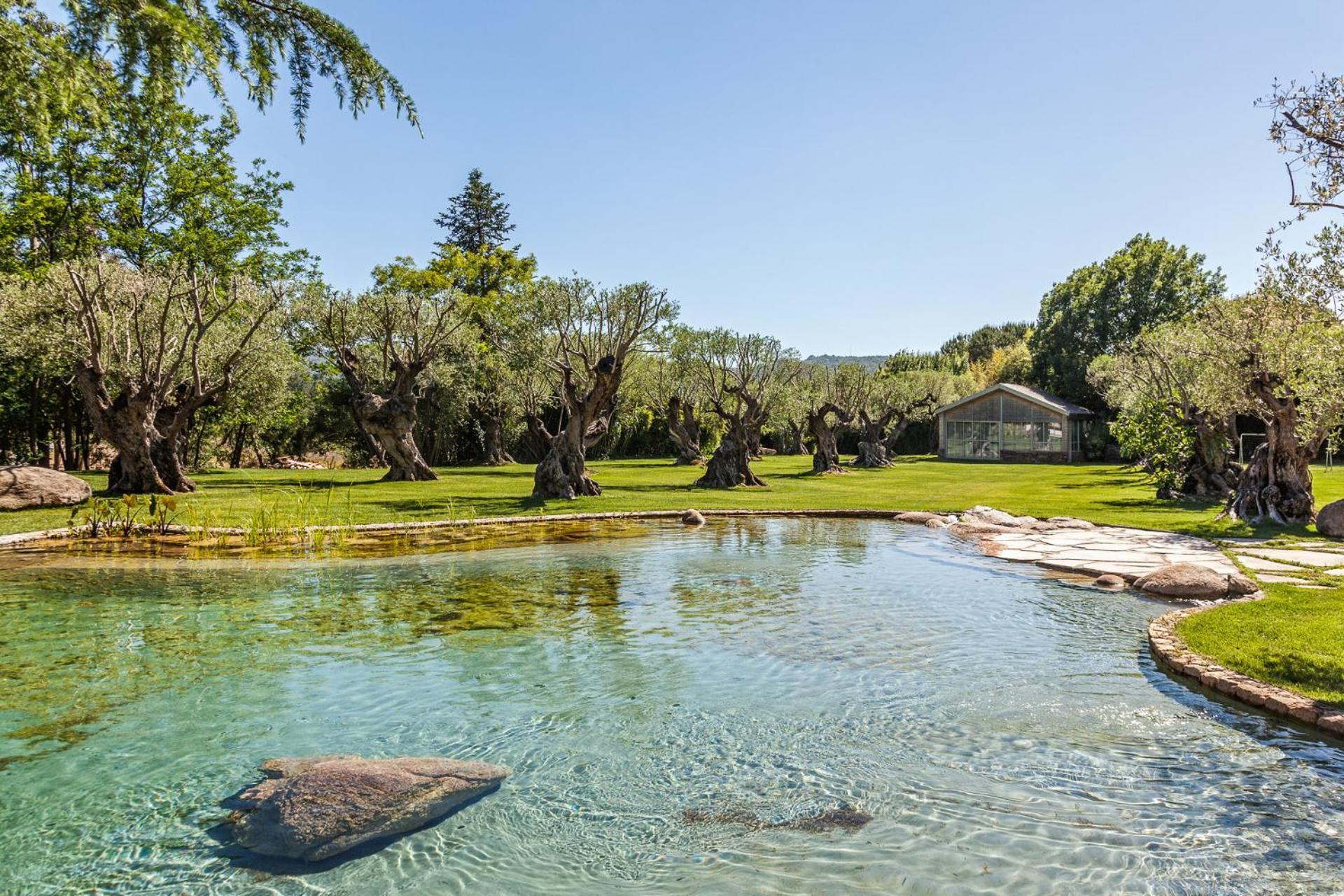Domaine Les Mesanges Otel Gassin Dış mekan fotoğraf