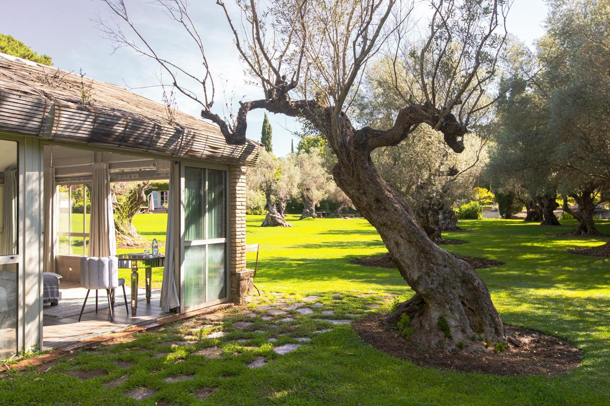 Domaine Les Mesanges Otel Gassin Dış mekan fotoğraf