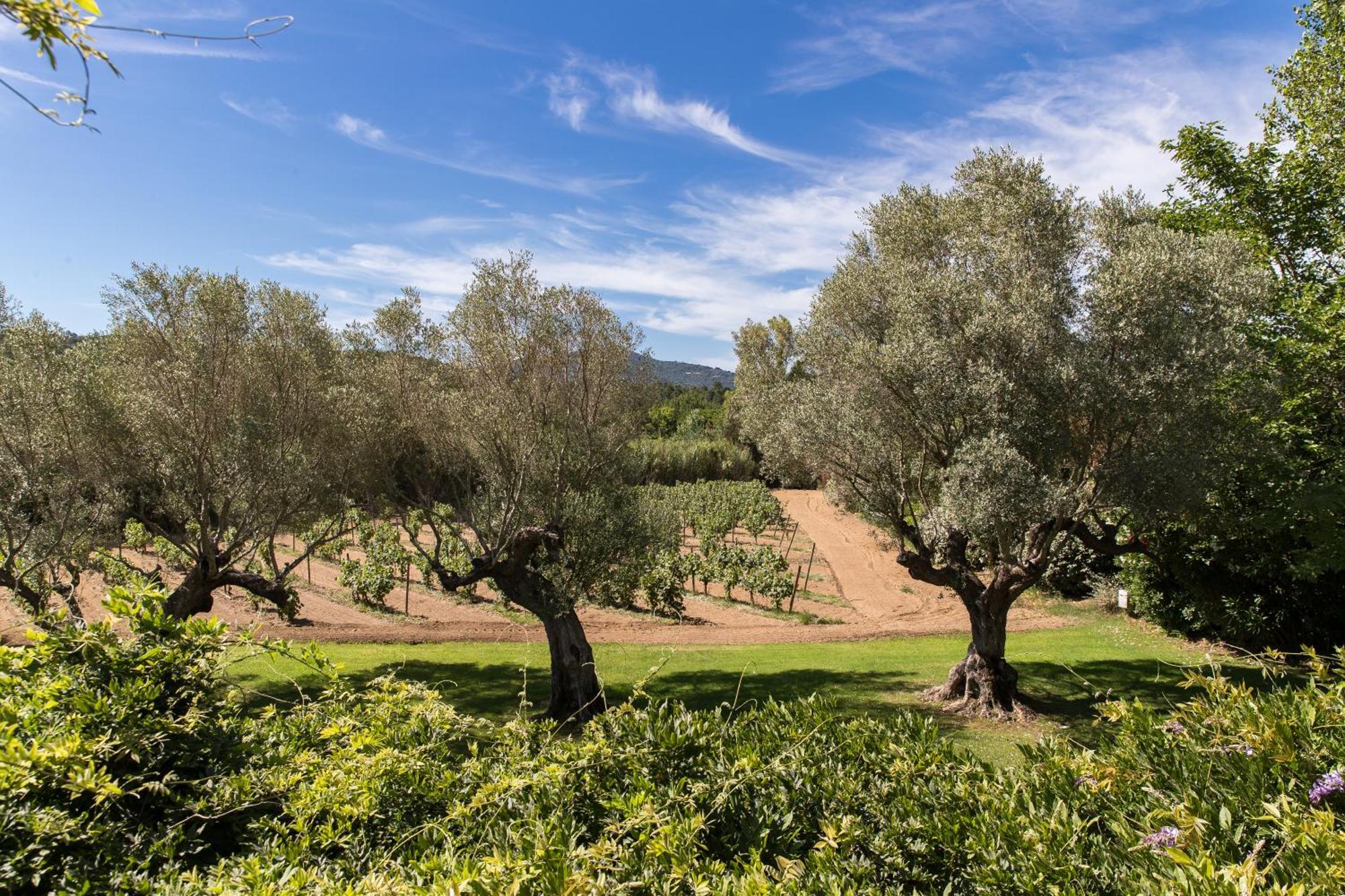 Domaine Les Mesanges Otel Gassin Dış mekan fotoğraf